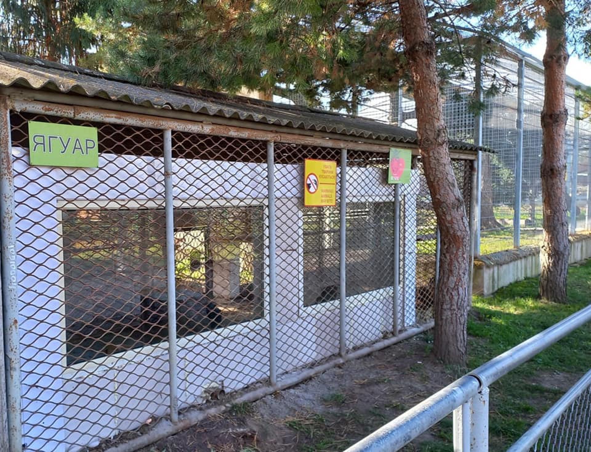 вольєр для ягуара